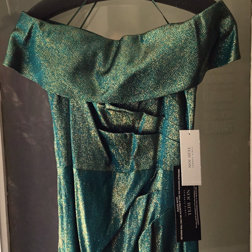 Teri Jon Long Formal Dress